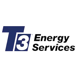T3